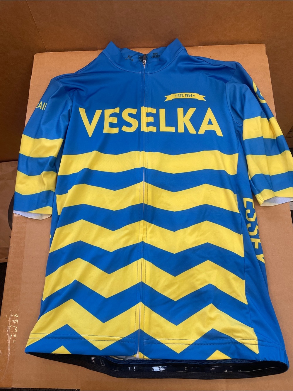 Ostroy Veselka Blue & Yellow Stand with Ukraine Cycling Jersey